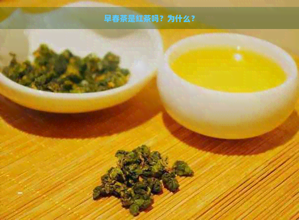 早春茶是红茶吗？为什么？