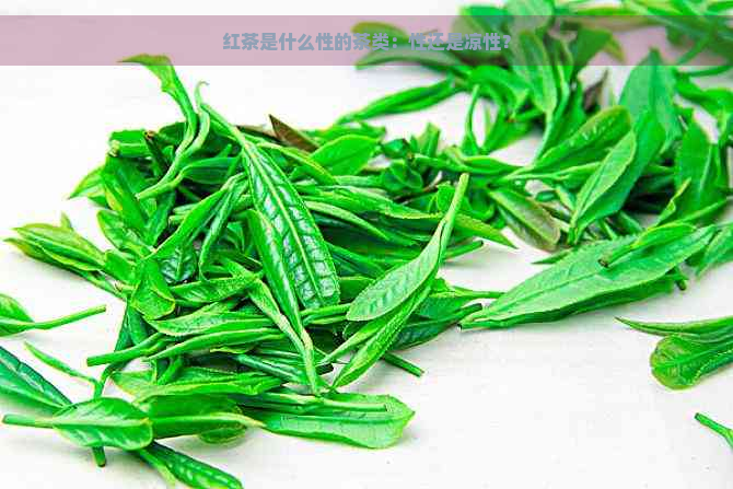 红茶是什么性的茶类：性还是凉性？