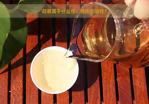 红茶属于什么性：性还是凉性？