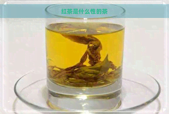 红茶是什么性的茶