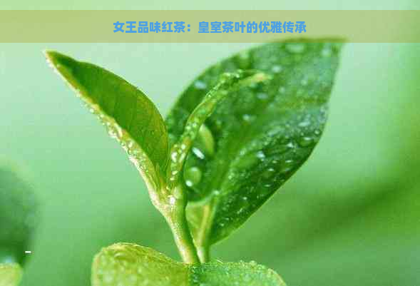 女王品味红茶：皇室茶叶的优雅传承