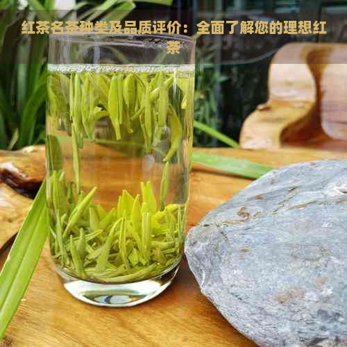 红茶名茶种类及品质评价：全面了解您的理想红茶