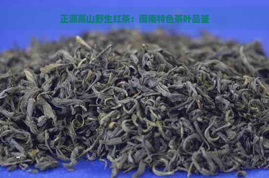 正源高山野生红茶：闽南特色茶叶品鉴