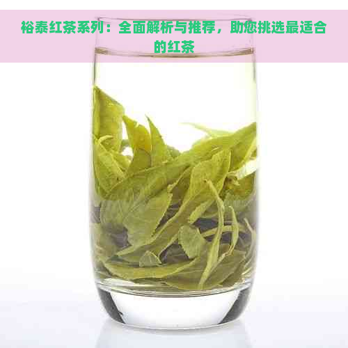 裕泰红茶系列：全面解析与推荐，助您挑选最适合的红茶