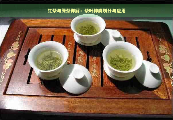 红茶与绿茶详解：茶叶种类划分与应用