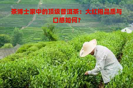 茶博士家中的顶级普洱茶：大红袍品质与口感如何？