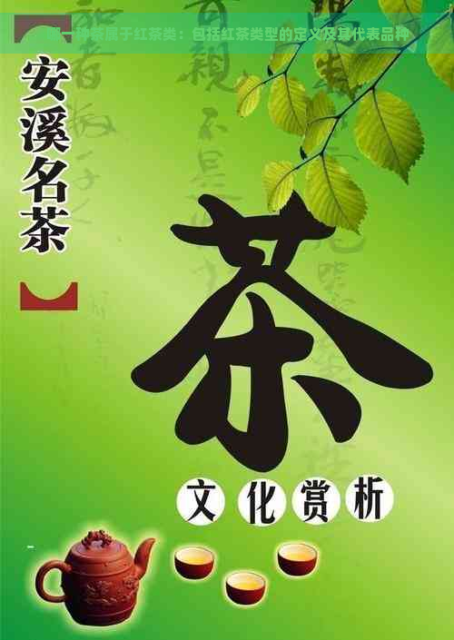 哪一种茶属于红茶类：包括红茶类型的定义及其代表品种