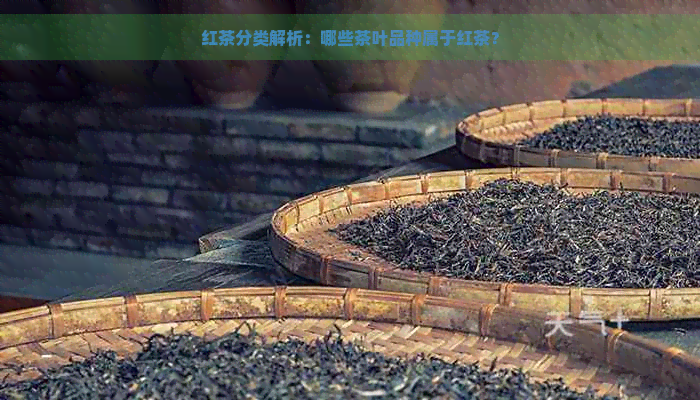 红茶分类解析：哪些茶叶品种属于红茶？