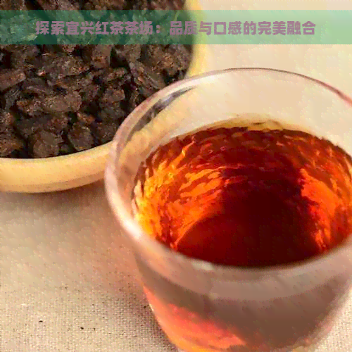 探索宜兴红茶茶场：品质与口感的完美融合