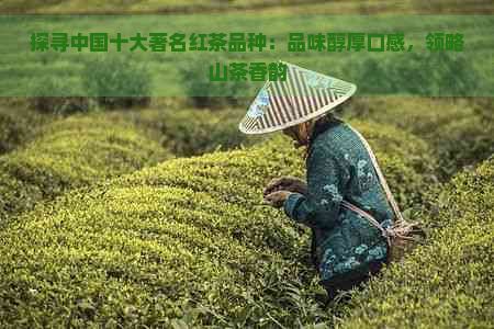 探寻中国十大著名红茶品种：品味醇厚口感，领略山茶香韵