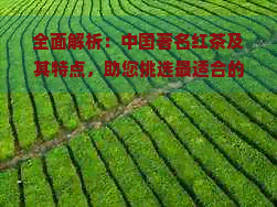 全面解析：中国著名红茶及其特点，助您挑选最适合的红茶