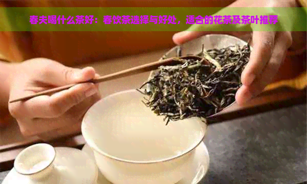 春夫喝什么茶好：春饮茶选择与好处，适合的花茶及茶叶推荐