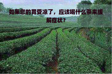 如果您的胃受凉了，应该喝什么茶来缓解症状？