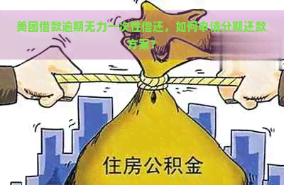 美团借款逾期无力一次性偿还，如何申请分期还款方案？