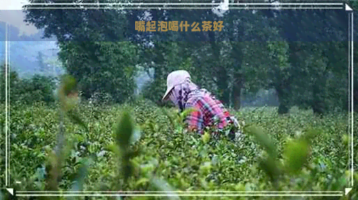 嘴起泡喝什么茶好