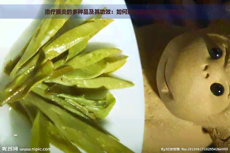 治疗膜炎的多种品及其功效：如何选择最适合你的复饮品？