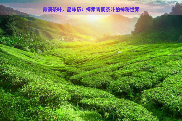 青铜茶叶，品味历：探索青铜茶叶的神秘世界