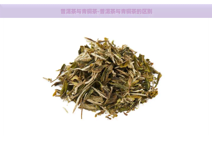 普洱茶与青铜茶-普洱茶与青铜茶的区别