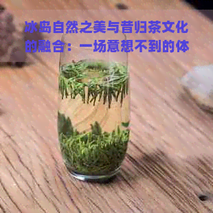 冰岛自然之美与昔归茶文化的融合：一场意想不到的体验