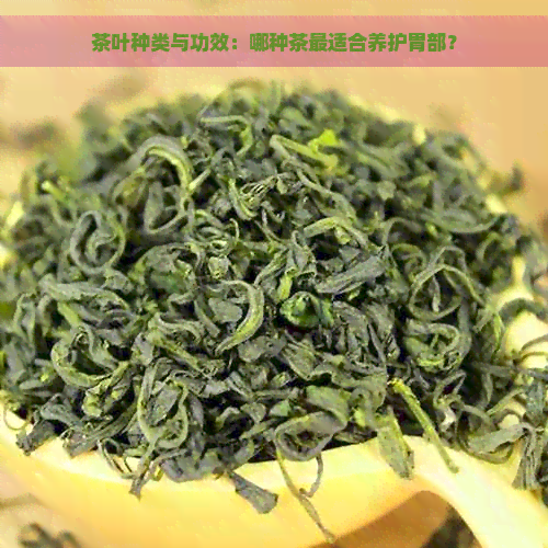 茶叶种类与功效：哪种茶最适合养护胃部？