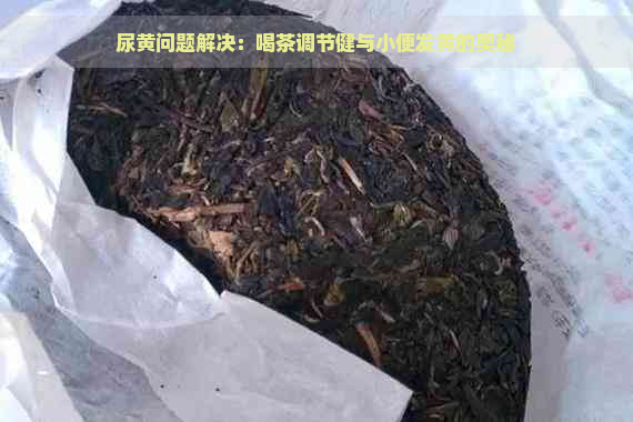 尿黄问题解决：喝茶调节健与小便发黄的奥秘