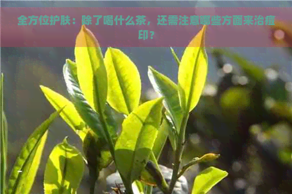 全方位护肤：除了喝什么茶，还需注意哪些方面来治痘印？