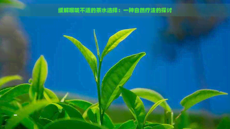 缓解喉咙不适的茶水选择：一种自然疗法的探讨