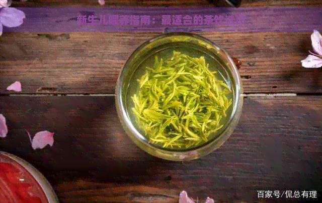 新生儿喂养指南：最适合的茶饮选项