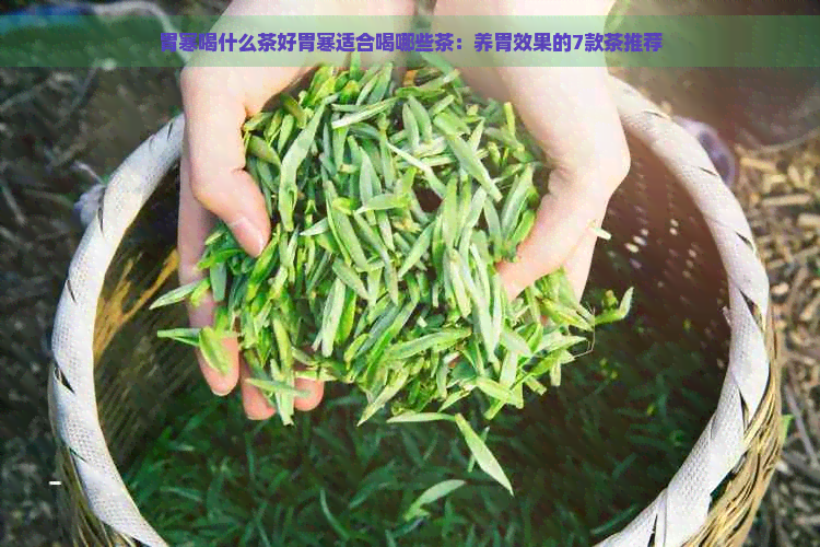 胃寒喝什么茶好胃寒适合喝哪些茶：养胃效果的7款茶推荐