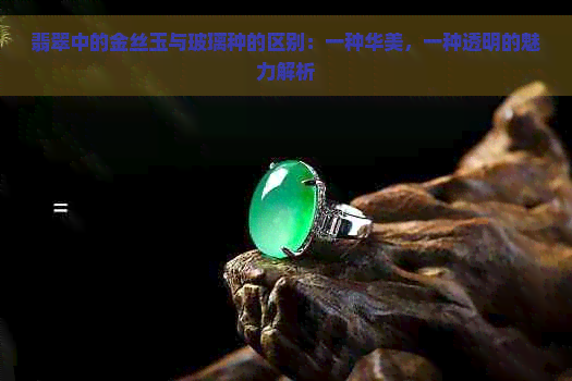 翡翠中的金丝玉与玻璃种的区别：一种华美，一种透明的魅力解析