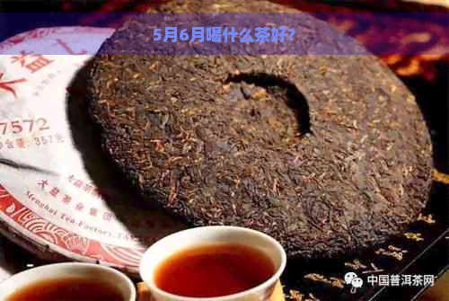 5月6月喝什么茶好？