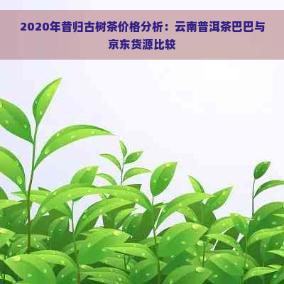 2020年昔归古树茶价格分析：云南普洱茶巴巴与京东货源比较
