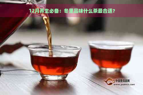 12月养生必备：冬里品味什么茶最合适？