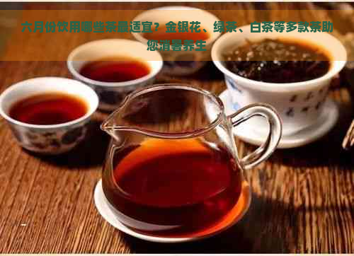 六月份饮用哪些茶最适宜？金银花、绿茶、白茶等多款茶助您消暑养生