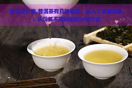 普洱茶分类,普洱茶有几种类型，深入了解普洱茶：认识其不同种类和分类方式