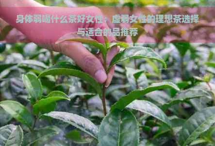 身体弱喝什么茶好女性：虚弱女性的理想茶选择与适合的品推荐