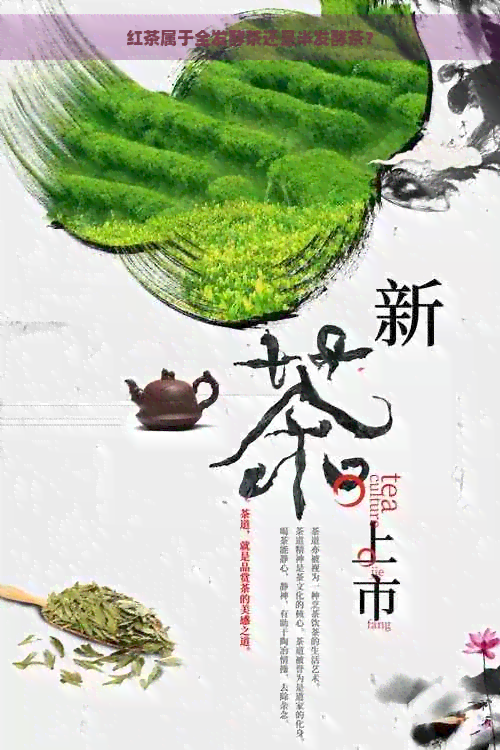 红茶属于全发酵茶还是半发酵茶？