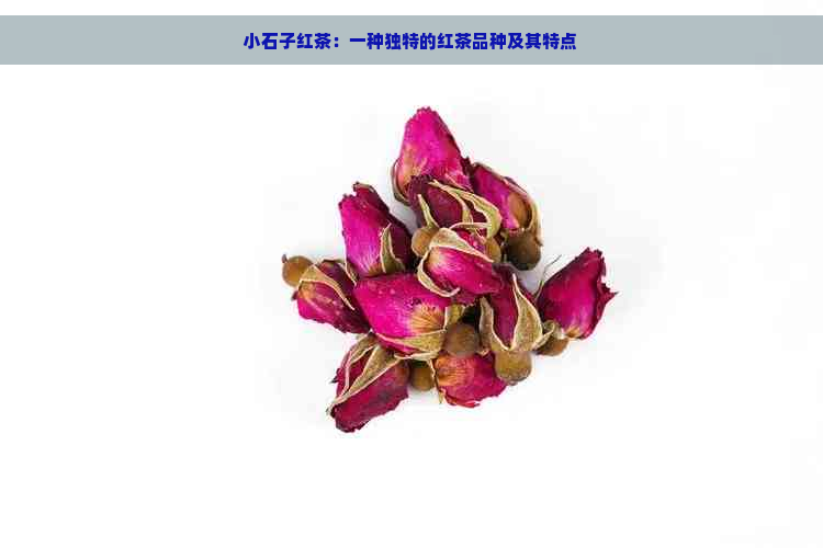 小石子红茶：一种独特的红茶品种及其特点