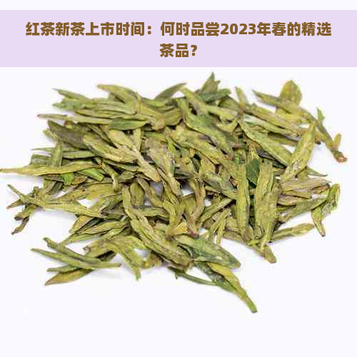 红茶新茶上市时间：何时品尝2023年春的精选茶品？