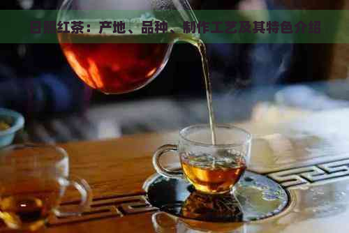 日照红茶：产地、品种、制作工艺及其特色介绍