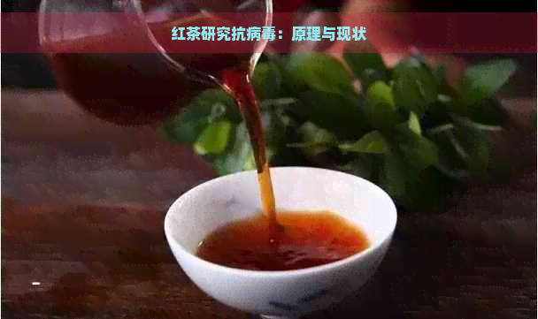 红茶研究抗病：原理与现状