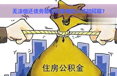 无法偿还债务却仍在借钱的人该如何称？