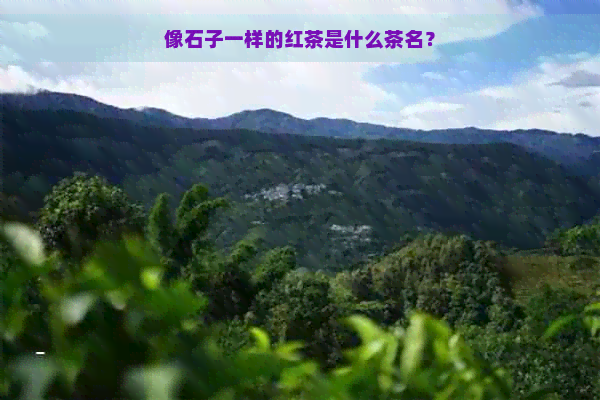 像石子一样的红茶是什么茶名？