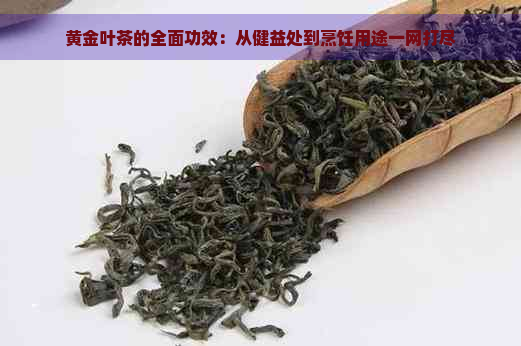 黄金叶茶的全面功效：从健益处到烹饪用途一网打尽