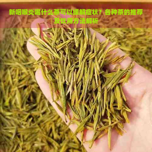 新咽喉炎喝什么茶可以缓解症状？各种茶的推荐及饮用方法解析