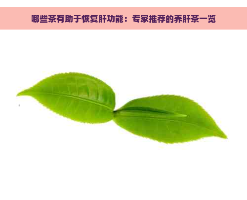 哪些茶有助于恢复肝功能：专家推荐的养肝茶一览