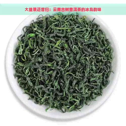 大益景迈昔归：云南古树普洱茶的冰岛韵味