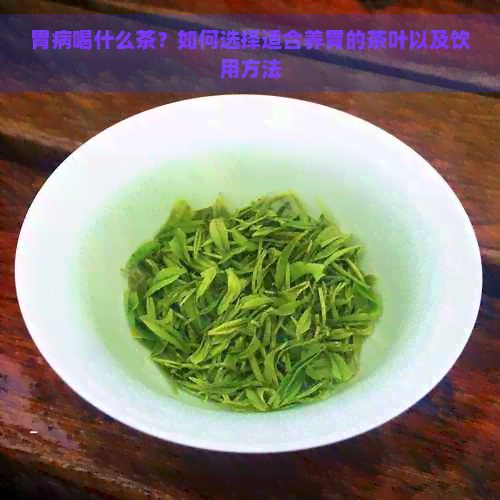 胃病喝什么茶？如何选择适合养胃的茶叶以及饮用方法