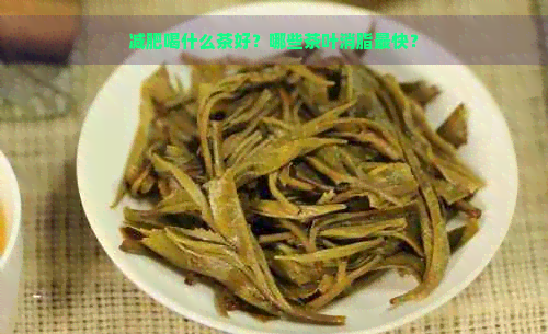 减肥喝什么茶好？哪些茶叶消脂最快？