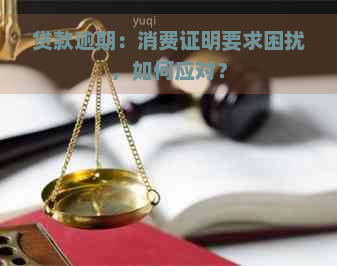 贷款逾期：消费证明要求困扰，如何应对？